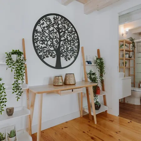 Lovely Nest Downtown Apartment Porto